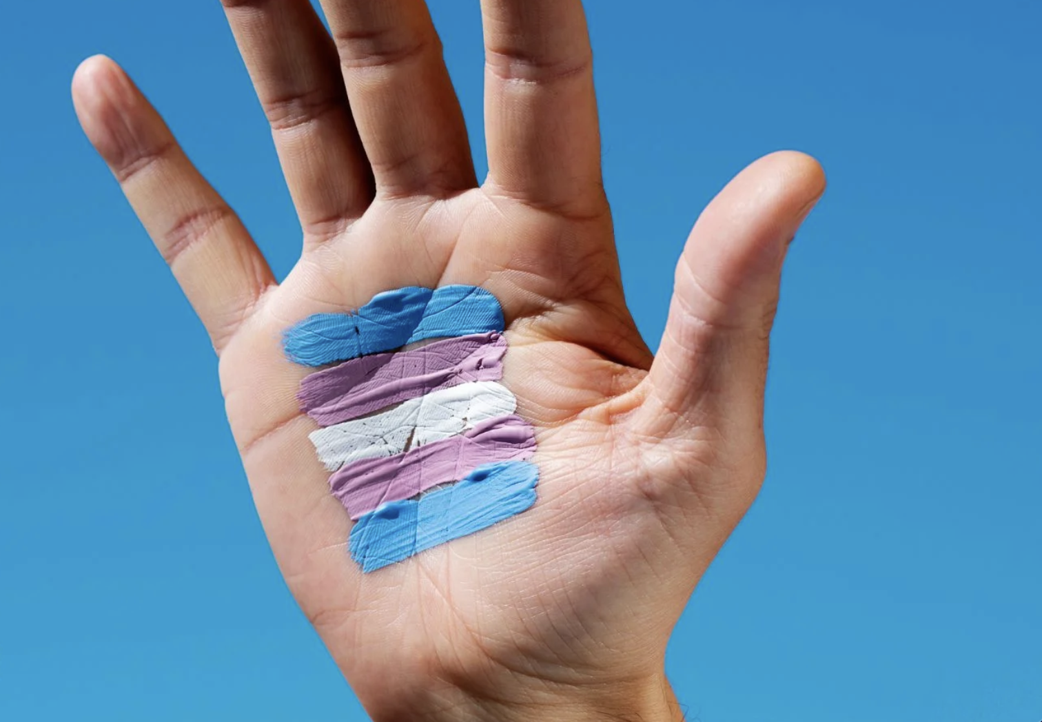 Transgender Pride flag painted on a palm with white skin with the palm filling the frame